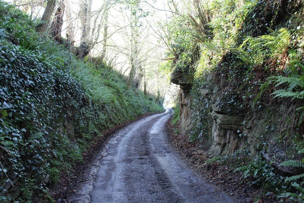 Cherrybrook Glastonbury Eksteriør billede