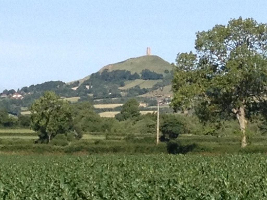 Cherrybrook Glastonbury Eksteriør billede